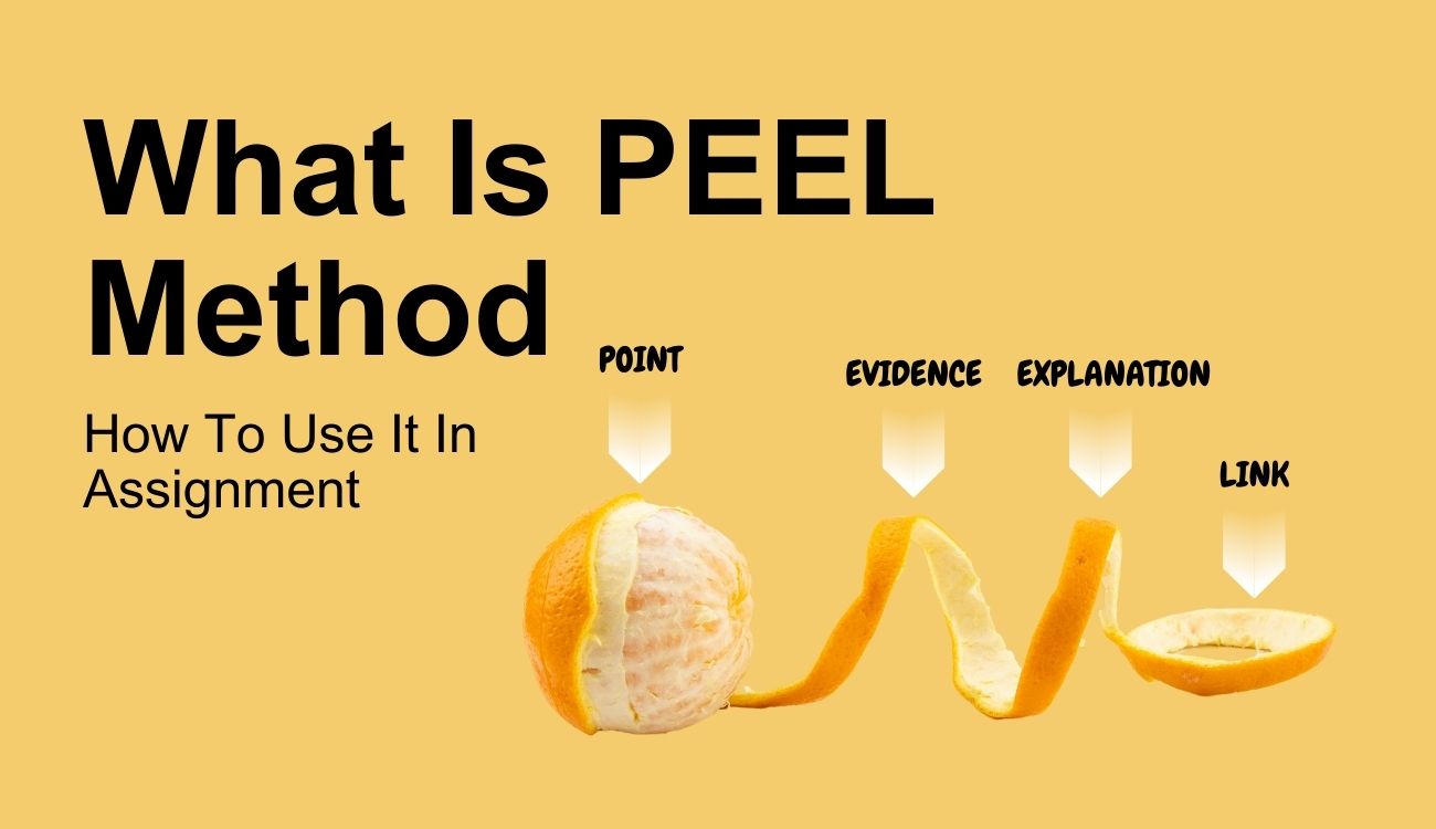 What is PEEL Method and How to Use it in Writing